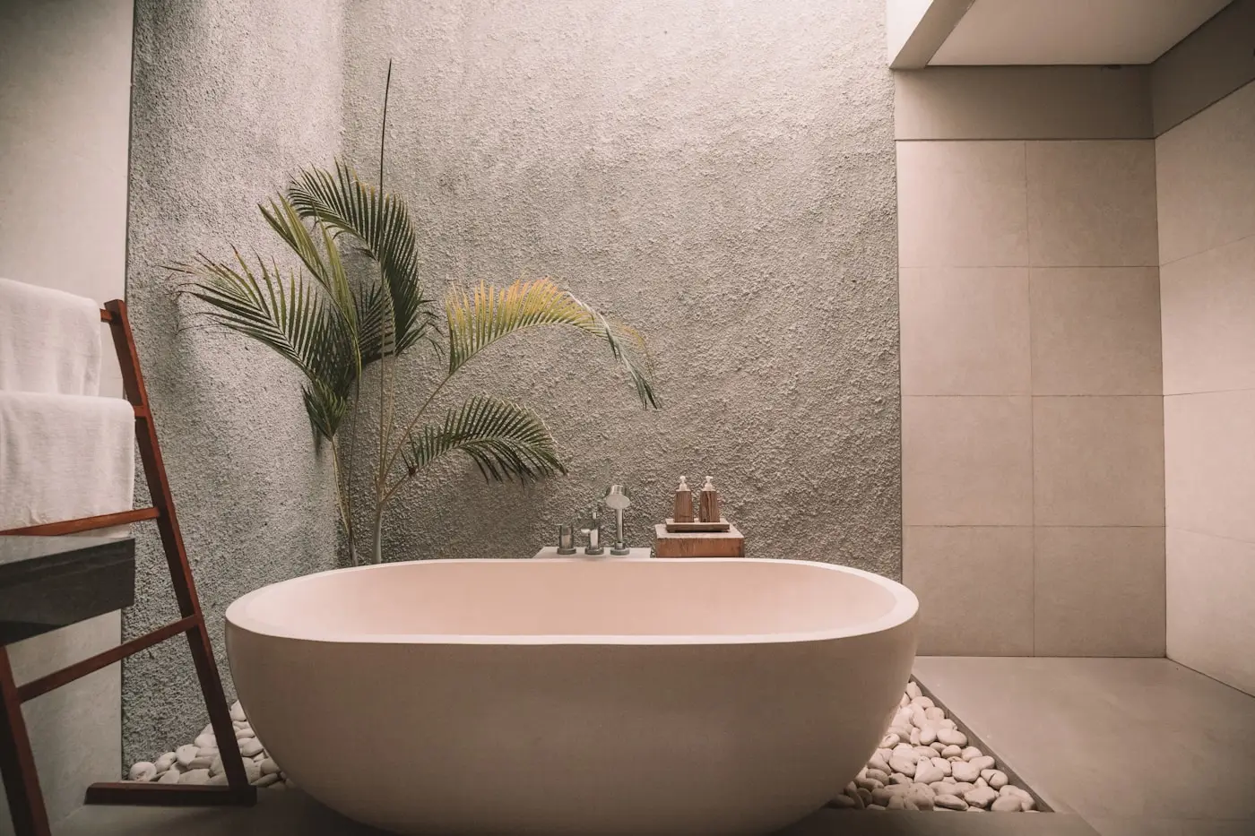 A white bathtub, leafy palm and soft natural light